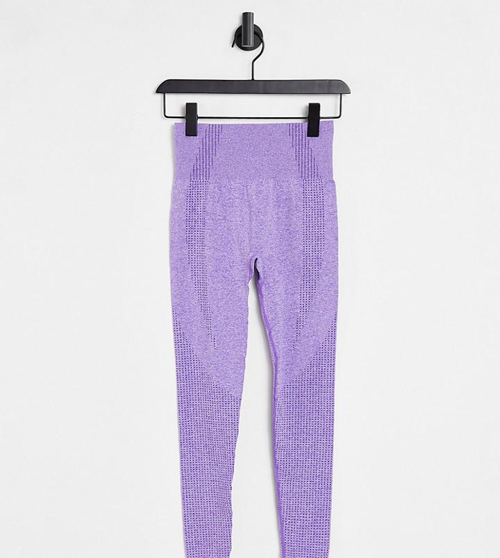 Love & Other Things Petite Gym Seamless Knitted Leggings In Lilac-purple