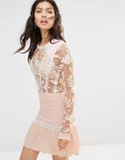 For Love And Lemons Emelia Embroidered Mini Dress - Dusty Pink