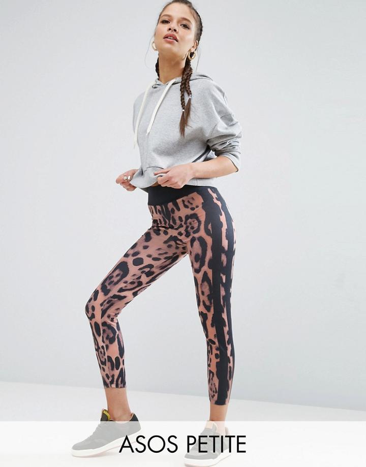 Asos Petite Leopard Print Leggings With Side Stripe - Multi
