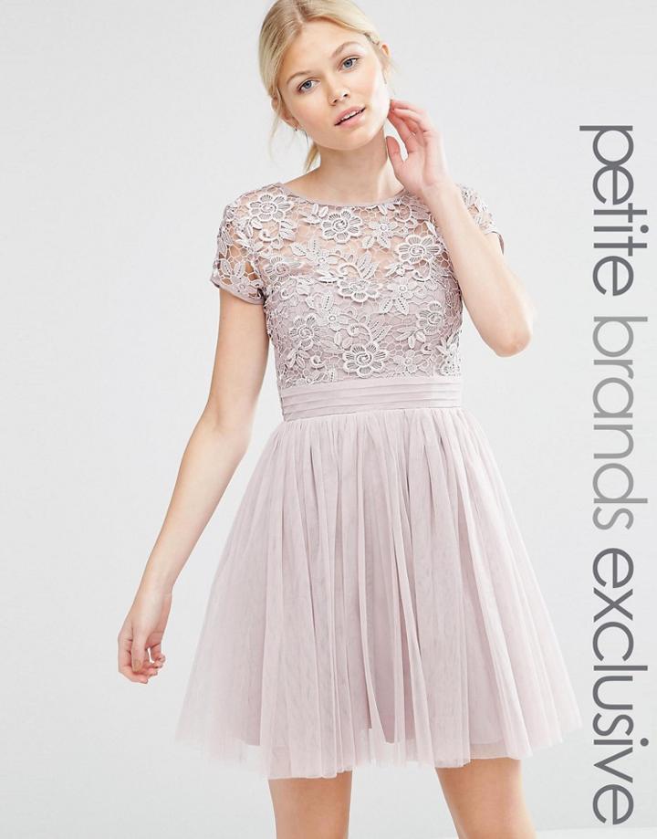Little Mistress Petite Short Sleeve Lace Bodice Mini Dress With Tulle Skirt - Pink