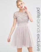 Little Mistress Petite Short Sleeve Lace Bodice Mini Dress With Tulle Skirt - Pink