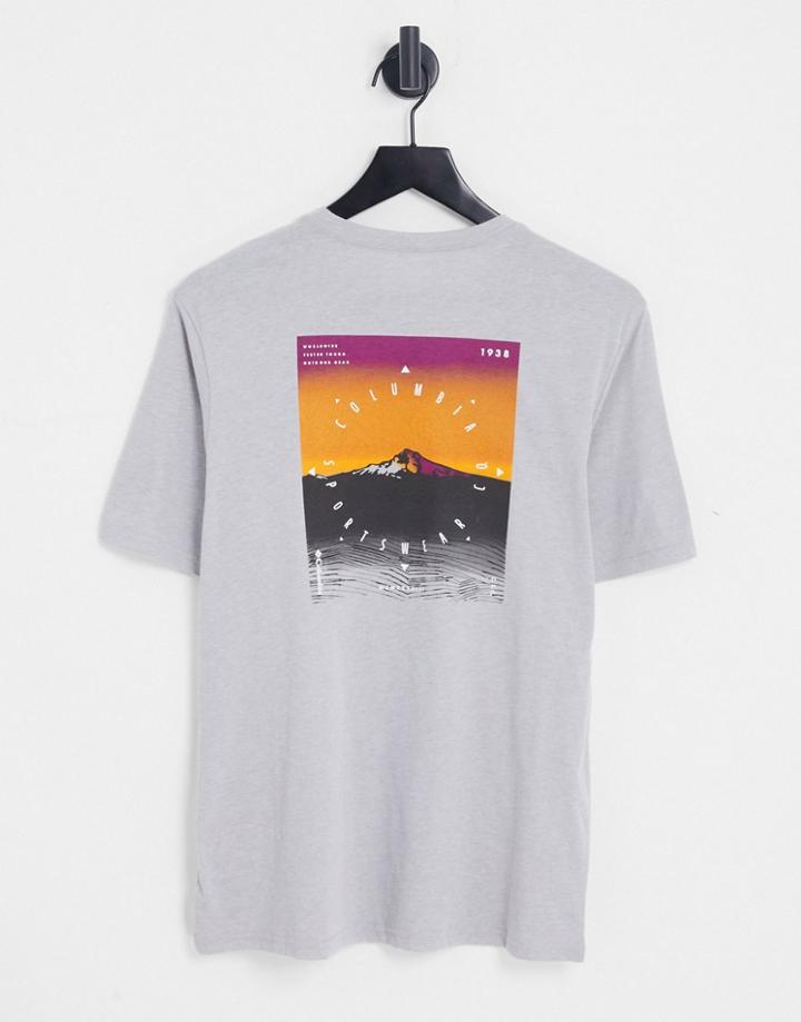 Columbia High Dune Graphic Ii T-shirt In Gray