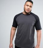 Asos Plus Longline T-shirt With Contrast Raglan Sleeves And Curved Hem In Gray/black - White