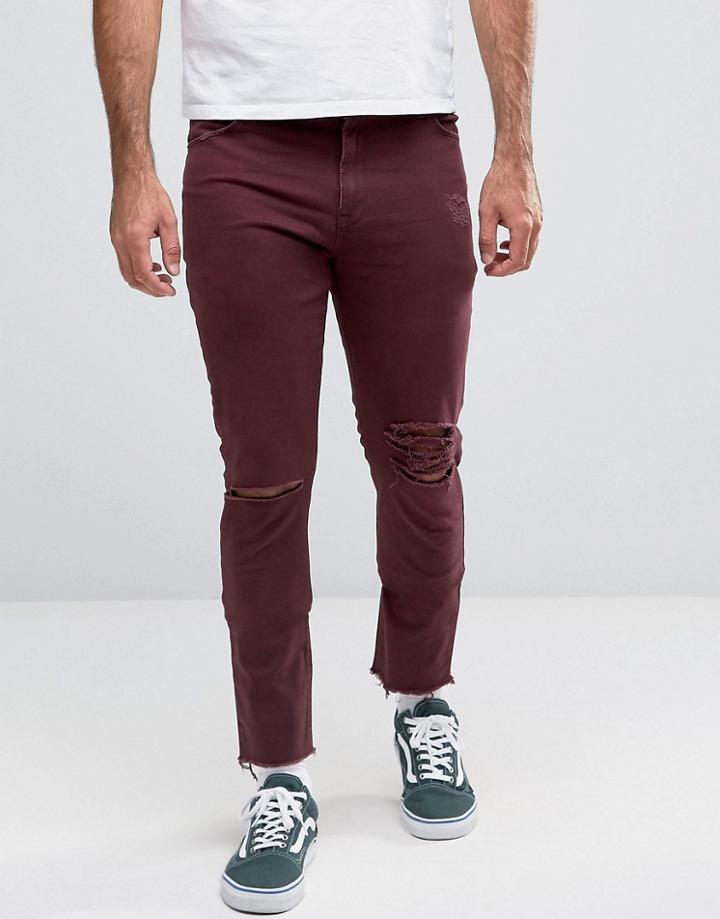 Asos Skinny 5 Pocket Pants In Burgundy With Rips And Distressing - Purple