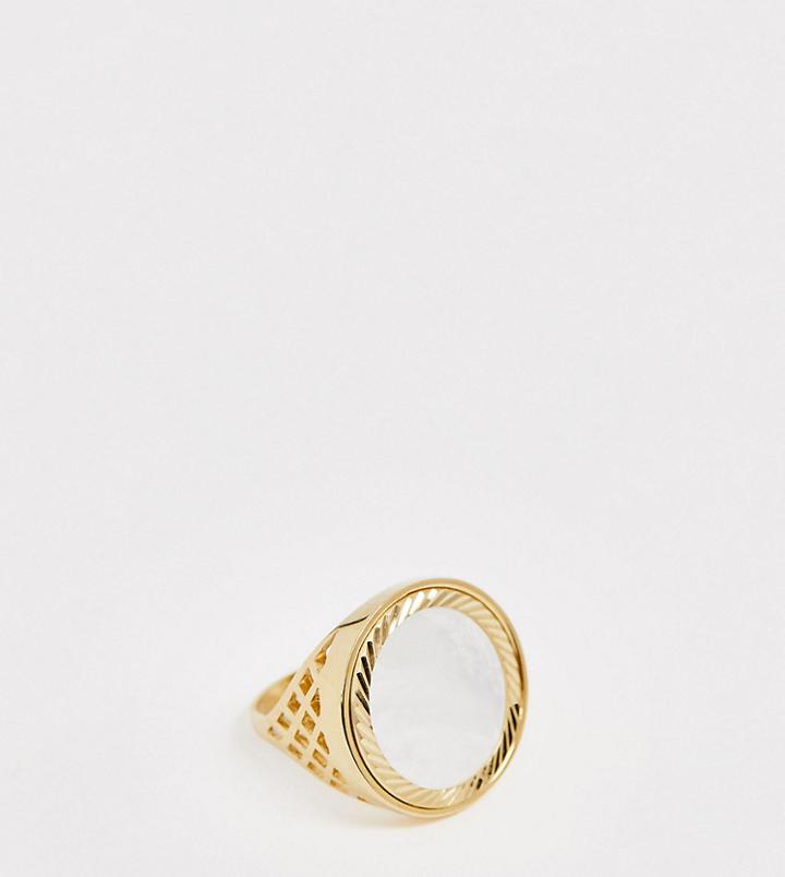 Chained & Able Sovereign Ring In Gold Plated Sterling Silver - Gold