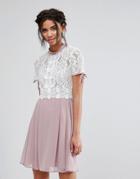 Elise Ryan Skater Dress With Corded Lace Upper - Multi