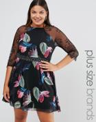 Little Mistress Plus Printed Skater Dress With Lace Sleeves - Multi