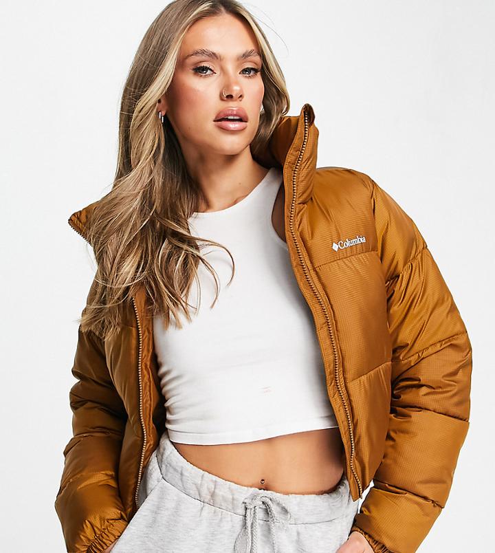 Columbia Puffect Cropped Jacket In Brown Exclusive To Asos