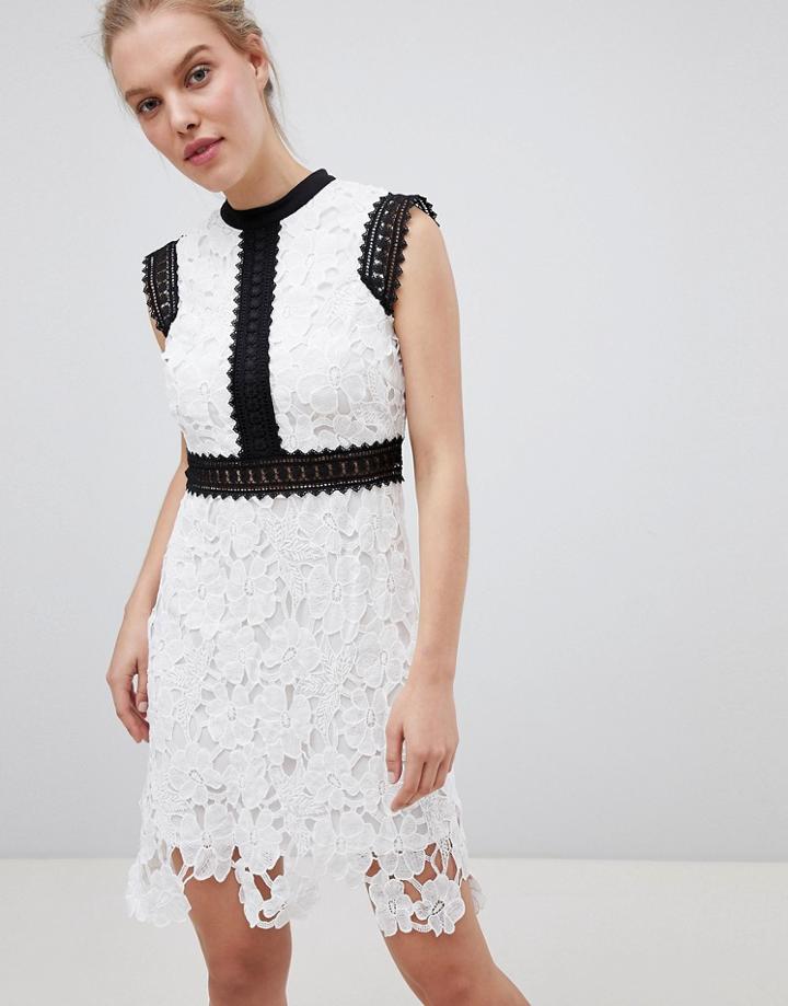 Liquorish Contrast Lace Skater Dress - White