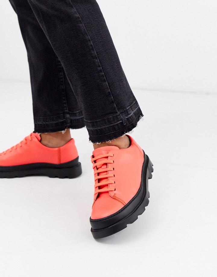 Camper Brutus Lace Up Flat Shoes In Red