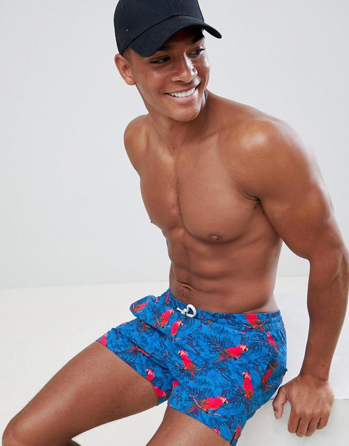 Boohooman Swim Shorts With Parrot Print In Blue - Blue