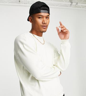 Vai21 Ribbed Sweatshirt In Neutral
