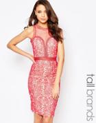 Little Misstress Tall Lace Cutwork Pencil Dress With Mesh Insert - Coral