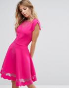 Ted Baker Mesh Paneled Scallop Dress - Pink