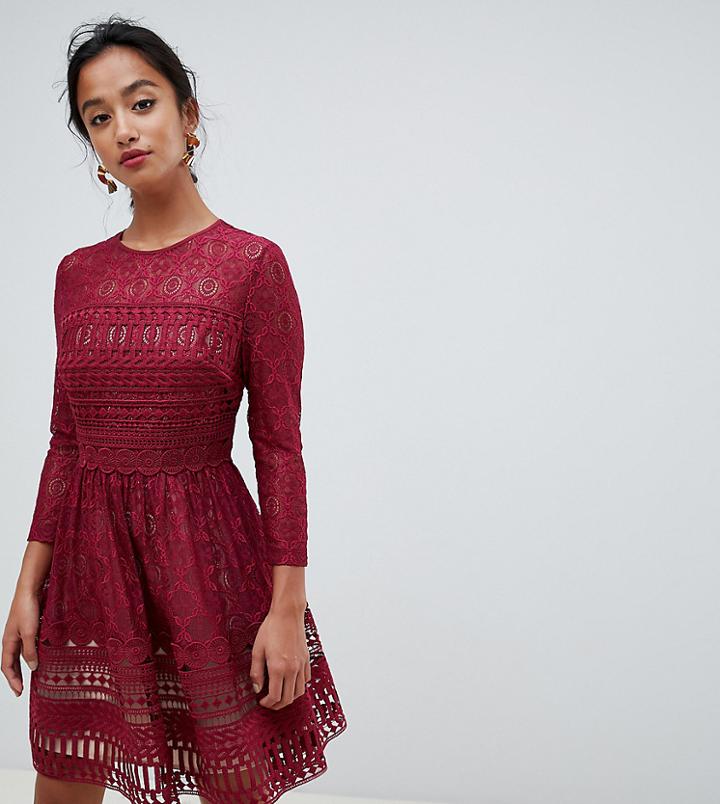 Asos Design Premium Petite Lace Mini Skater Dress-red