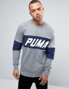 Puma Color Block Crewneck Sweatshirt In Gray 572424 04 - Gray