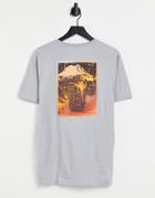Columbia Pikewood Graphic Back Print T-shirt In Gray-grey