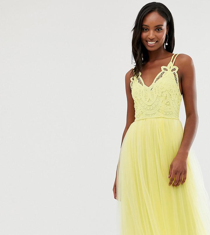 Asos Design Tall Premium Lace Top Tulle Cami Midi Dress-yellow