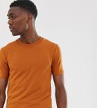 Asos Design Tall Short Sleeve Muscle Sweatshirt In Rusty Brown - Brown