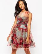 Little Mistress Midi Skater Dress In Floral Organza - Print