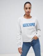 Abercrombie & Fitch Cropped Logo Sweatshirt - Gray