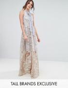 True Decadence Tall Halter Neck Maxi Dress In Allover Broidery - Multi