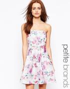 True Decadence Petite Structured Organza Prom Dress - Multi