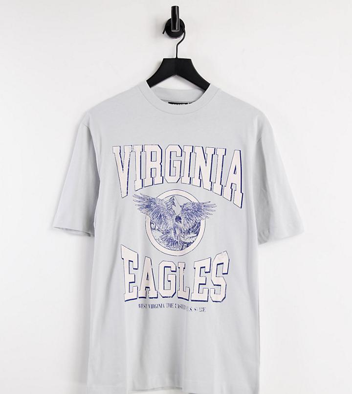 Reclaimed Vintage Inspired Relaxed Organic Cotton T-shirt With Eagle Print In Washed Blue-blues