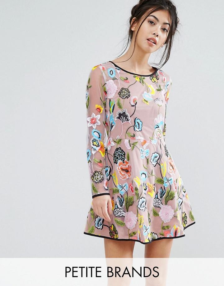 True Decadence Petite Embroidered Long Sleeve Mini Skater Dress - Multi
