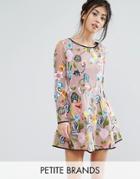 True Decadence Petite Embroidered Long Sleeve Mini Skater Dress - Multi