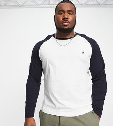 French Connection Plus Raglan Long Sleeve Top In White