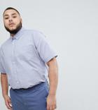 Badrhino Plus Short Sleeve Button Down Oxford Shirt In 100% Cotton In Blue - Blue