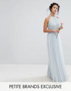 Maya Petite High Neck Maxi Tulle Dress With Tobal Delicate Sequins - Blue