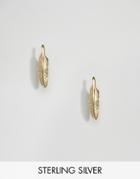 Asos Gold Plated Sterling Silver Mini Feather Stud Earrings - Gold