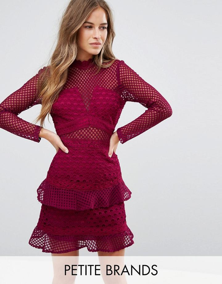True Decadence Petite All Over Mesh Skater Dress With Ruffle Hem - Red