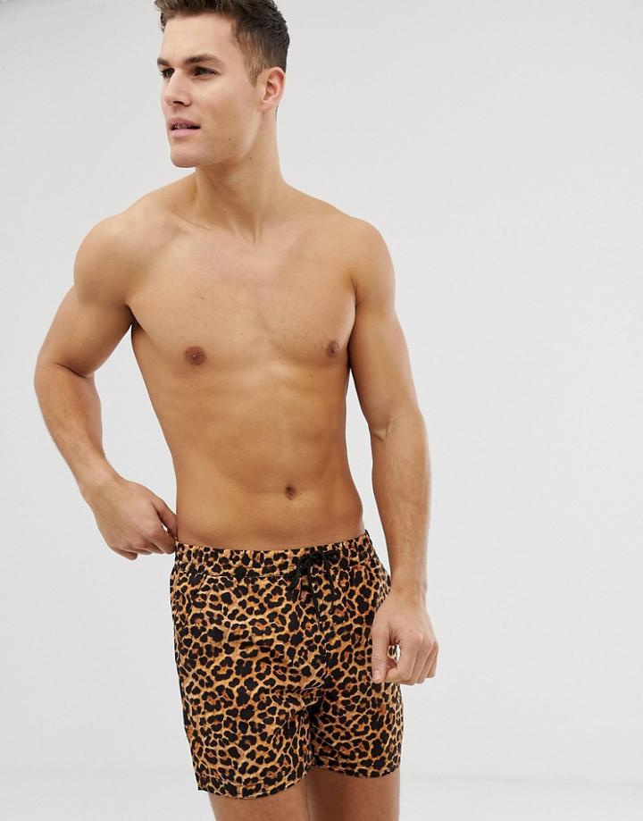 South Beach Recycled Swim Shorts In Animal Print - Multi