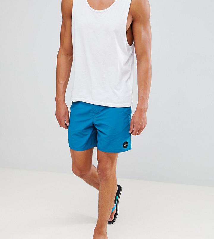 O'neill Vert Shorts - Blue
