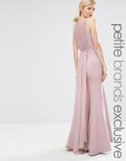 Little Mistress Petite Lace Back Pleated Train Maxi Dress - Pink