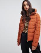 Miss Selfridge Padded Jacket In Rust - Brown