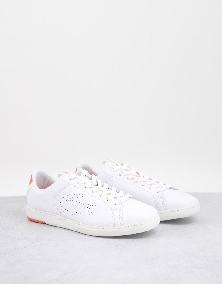 Lacoste Carnby Lace Up Sneakers In White