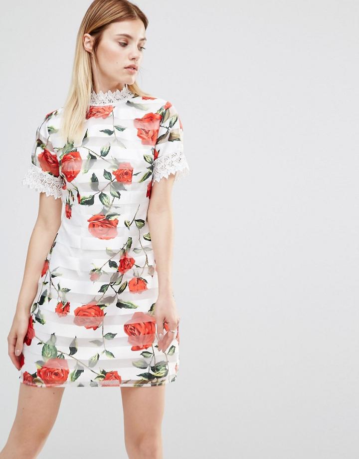 Ax Paris High Neck Printed Mini Dress - Cream