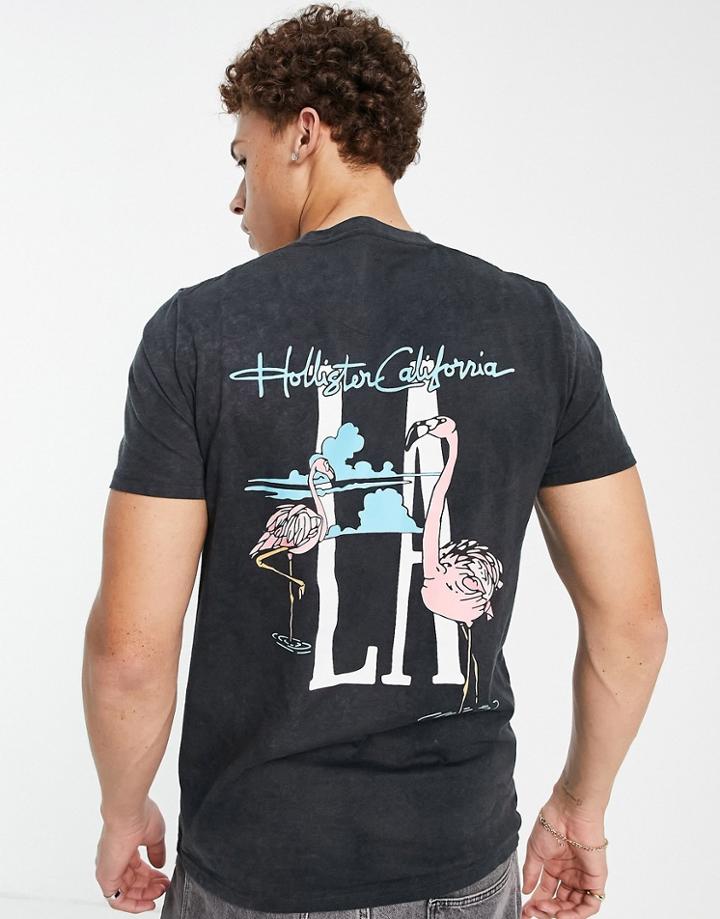 Hollister Spring Daze La Back Print T-shirt In Washed Black