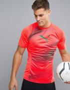 Puma Football Evotrg Training Graphic T-shirt In Orange 65533506 - Orange
