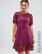 Asos Petite Premium Lace Insert Mini Dress - Purple