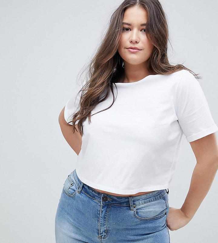 Asos Design Curve Crop T-shirt With Roll Sleeve - White