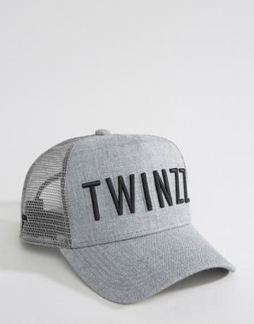 Twinzz Trucker Cap With Logo In Gray - Gray