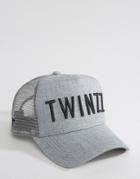 Twinzz Trucker Cap With Logo In Gray - Gray