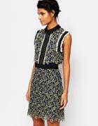 Self Portrait Eleina Sculpted Daisy Dress In Colourful Lace