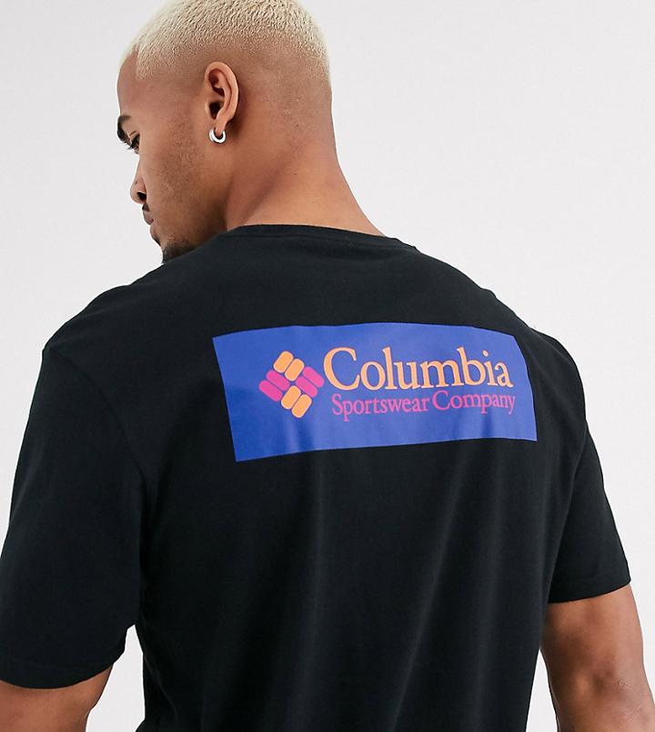 Columbia North Cascades T-shirt In Gray With Back Logo Exclusive At Asos
