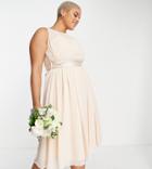 Little Mistress Plus Bridesmaid Midi Skater Dress In Blush-pink